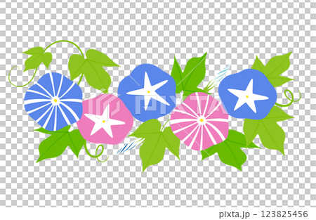 4棲類の朝顔のイラスト 123825456