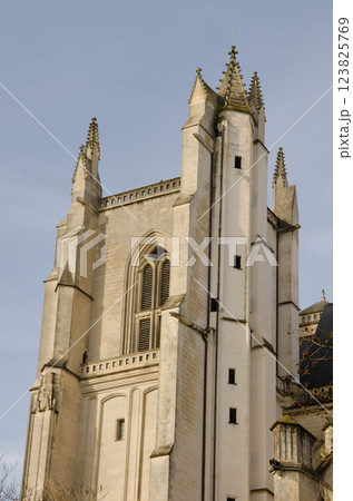 View of the Nantes Cathedral. 123825769