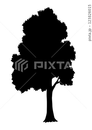 Trees black silhouette, natural wild landscape. Refined digital illustration capturing essence of tree in striking black silhouette. Vector foreground of woodland 123826015