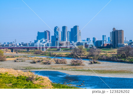 日本の東京都市景観3月10日…多摩川や水鳥、川崎・武蔵小杉駅前のタワーマンション群など望む=令和7年 日本の東京都市景観3月10日…多摩川や水鳥、川崎・武蔵小杉駅前のタワーマンション群など望む=令和7年 123826202