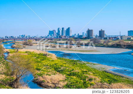 日本の東京都市景観3月10日…多摩川や水鳥、川崎・武蔵小杉駅前のタワーマンション群など望む=令和7年 日本の東京都市景観3月10日…多摩川や水鳥、川崎・武蔵小杉駅前のタワーマンション群など望む=令和7年 123826205