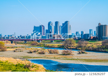 日本の東京都市景観3月10日…多摩川や水鳥、川崎・武蔵小杉駅前のタワーマンション群など望む=令和7年 日本の東京都市景観3月10日…多摩川や水鳥、川崎・武蔵小杉駅前のタワーマンション群など望む=令和7年 123826207