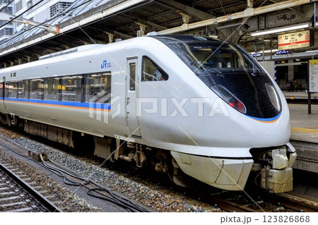 雨の名古屋駅に停車中の683系特急しらさぎ(サンダーバード転用車) 雨の名古屋駅に停車中の683系特急しらさぎ(サンダーバード転用車) 123826868