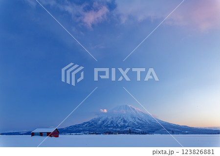 北海道倶知安町瑞穂から望む紅い小屋と羊蹄山 北海道倶知安町瑞穂から望む紅い小屋と羊蹄山 123826881