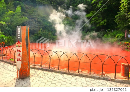 【大分県】別府地獄めぐり（血の池地獄） 123827061