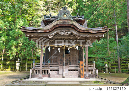 【大瀧神社 (岡太神社)】 福井県越前市大滝町 123827150