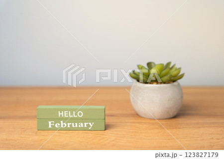 Hello February blocks and succulent in the table. Concept of the beginning of a new winter month Hello February blocks and succulent in the table. Concept of the beginning of a new winter month 123827179