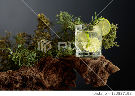 Refreshing hard seltzer with ice, lime, and rosemary on an old snag. Refreshing hard seltzer with ice, lime, and rosemary on an old snag. 123827198