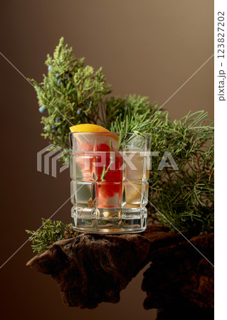 Refreshing hard seltzer with ice, grapefruit, and rosemary on an old snag. 123827202