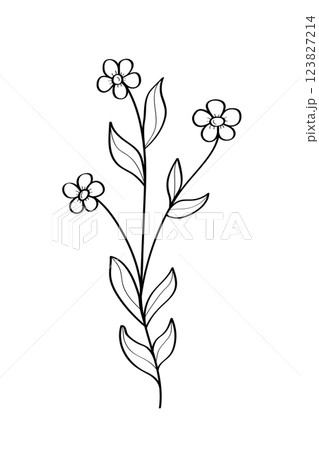 Sketch of a forget-me-not wildflower. Vector illustration of a spring flower icon. Isolate on white. Sketch of a forget-me-not wildflower. Vector illustration of a spring flower icon. Isolate on white. 123827214