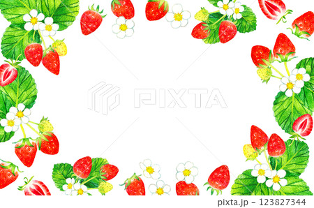 イチゴのフレーム　野菜・フルーツの手描き水彩イラスト背景素材 123827344