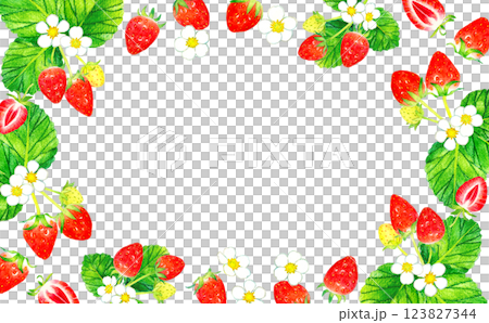 イチゴのフレーム　野菜・フルーツの手描き水彩イラスト背景素材 123827344