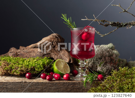 Refreshing cranberry hard seltzer with lime, rosemary, and ice. Refreshing cranberry hard seltzer with lime, rosemary, and ice. 123827640
