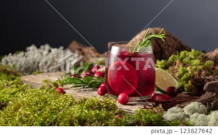 Refreshing cranberry hard seltzer with lime, rosemary, and ice. 123827642