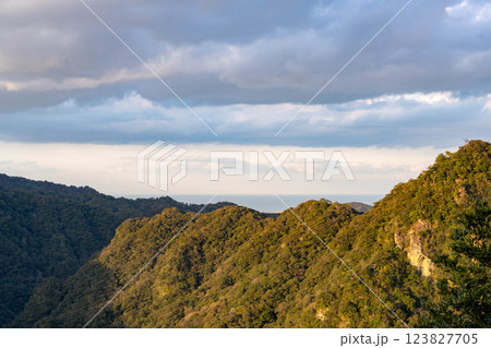椿山森林公園(宮崎県宮崎市)からの景色 椿山森林公園(宮崎県宮崎市)からの景色 123827705