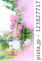 薔薇の花と可愛いトイプードル 123827717