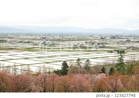北海道東川町キトウシ森林公園から見た春の東川町内 123827748