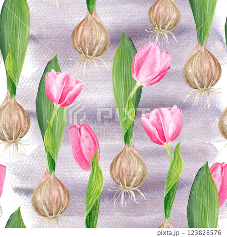 Pink tulip bulb flowers and a leaf watercolor seamless pattern on purple background. Hand painted flower. High quality clip art perfect for mother's day, women's day cards, seed packages, wrapping 123828576