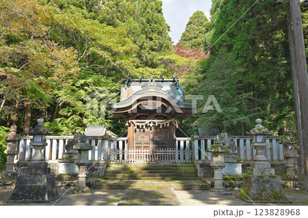 【岡太神社 (本殿)】 福井県越前市粟田部町 123828968