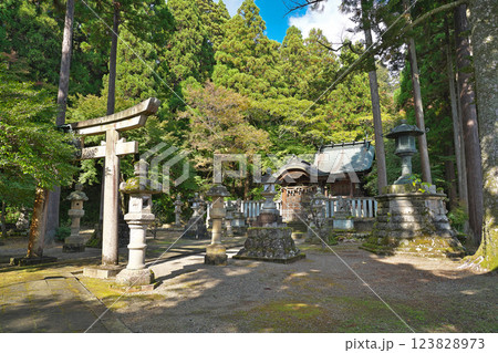 【岡太神社 (本殿)】 福井県越前市粟田部町 【岡太神社 (本殿)】 福井県越前市粟田部町 123828973
