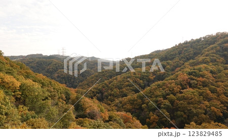 秋の山 123829485