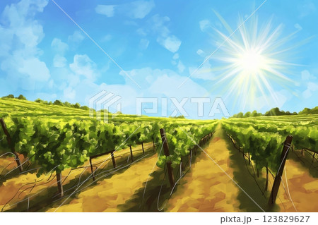 Vibrant and bright sunny vineyard landscape illustration with scenic rows of grapevines, showcasing the serene and rural countryside agriculture and viticulture, under a clear, sunlit sky 123829627