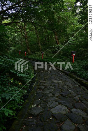 新緑の大神山神社 新緑の大神山神社 123829817