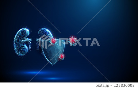 Abstract red human kidneys behind the futuristic guard shield attacked by viruses. Kidneys protection, healthcare medical concept. 123830008