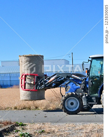畜産用にロールにされて田圃に並ぶ稲藁ロール、 123830085