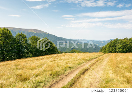 carpathian mountain landscape in late summer. background for hiking and travel. beautiful nature with beech forest on the hill behind the grassy meadow. apetska mount in the distance on a sunny day carpathian mountain landscape in late summer. background for hiking and travel. beautiful nature with beech forest on the hill behind the grassy meadow. apetska mount in the distance on a sunny day 123830094