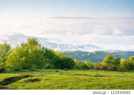 scenic view of nature in fog and clouds. sunny morning. deciduous forest on the hills in spring. rural valley in the distance 123830095