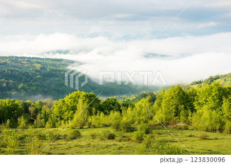 scenic view of nature in fog and clouds. panoramic countryside landscape on a sunny morning. deciduous forest on the hills in spring. rural valley in the distance 123830096