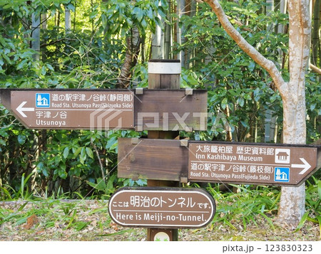 静岡県　宇津ノ谷隧道（明治トンネル）の道標　3月 123830323