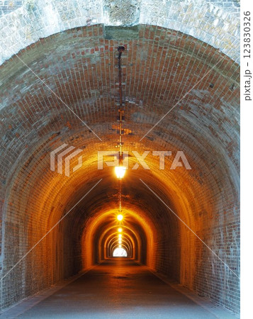 静岡県　宇津ノ谷隧道（明治のトンネル）　3月 123830326