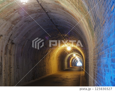 静岡県　宇津ノ谷隧道（明治のトンネル）　3月 123830327