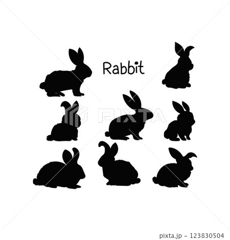 Rabbit Silhouette 123830504
