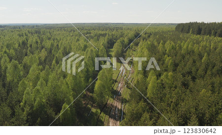 Dirt road through the forest. A landscape full of green vegetation and huge clouds in the sky. Country road in the forest. Fresh green forest. 123830642