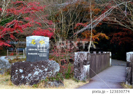 阿蘇郡産山村 池山水源 秋の風景 阿蘇郡産山村 池山水源 秋の風景 123830774