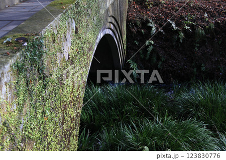 阿蘇郡産山村　池山水源　秋の風景 123830776