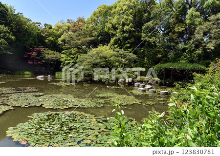 京都　平安神宮　臥龍橋 123830781