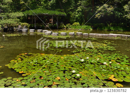 京都　平安神宮　臥龍橋 123830782