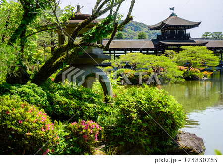 京都　平安神宮の橋殿 123830785
