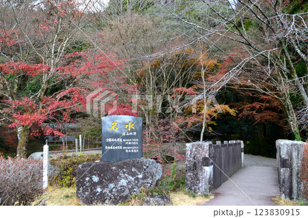 阿蘇郡産山村 池山水源 秋の風景 阿蘇郡産山村 池山水源 秋の風景 123830915