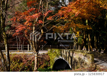 阿蘇郡産山村　池山水源　秋の風景 123830917