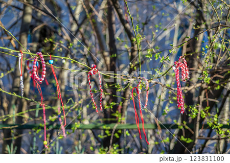 Multiple red and white Martenitsa bracelets tied to a tree branch with fresh green leaves. Cultural tradition marking the arrival of spring and good fortune Multiple red and white Martenitsa bracelets tied to a tree branch with fresh green leaves. Cultural tradition marking the arrival of spring and good fortune 123831100