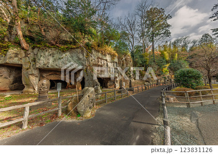 晩秋の瑞厳寺・洞窟遺跡群(宮城県宮城郡松島町) 123831126