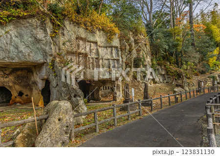 晩秋の瑞厳寺・洞窟遺跡群(宮城県宮城郡松島町) 晩秋の瑞厳寺・洞窟遺跡群(宮城県宮城郡松島町) 123831130