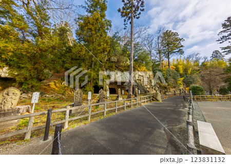 晩秋の瑞厳寺・洞窟遺跡群(宮城県宮城郡松島町) 123831132