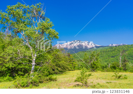 【長野県】乗鞍高原・一の瀬瀬園地 新緑の散策路 【長野県】乗鞍高原・一の瀬瀬園地 新緑の散策路 123831146