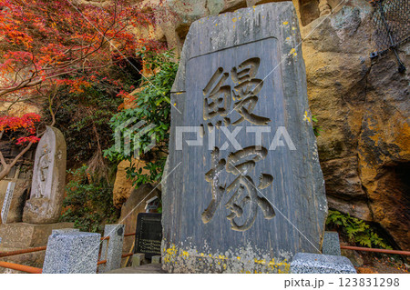 晩秋の瑞厳寺・鰻塚(宮城県宮城郡松島町) 123831298